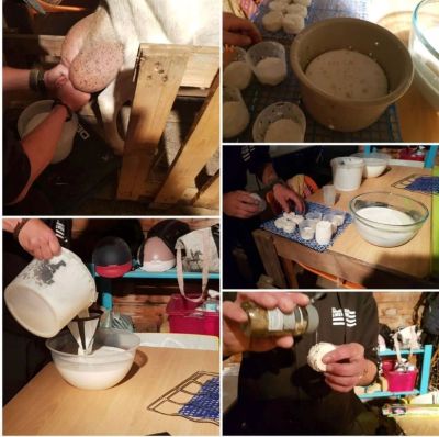 La ferme pédagogique du CEF L’Arverne vous ouvre ses portes !