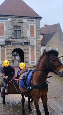 La ferme pédagogique du CEF L’Arverne vous ouvre ses portes !