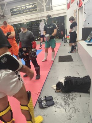 L'atelier du combat 3