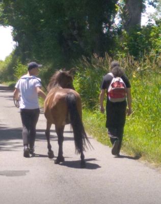 Promenade à poney